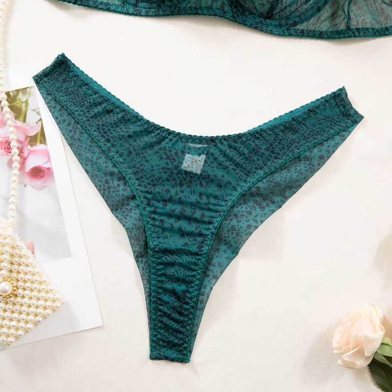 2-teiliges Damen-Dessous-Set,  – Sheer Mesh Bra Bewertung und Preis